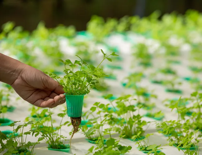 Geospatial agriculture solutions